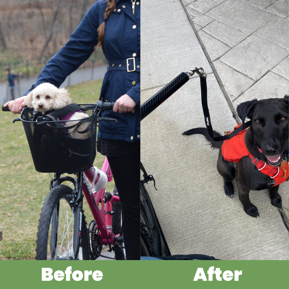 WheelPaw Companion - Bicycle Dog Leash